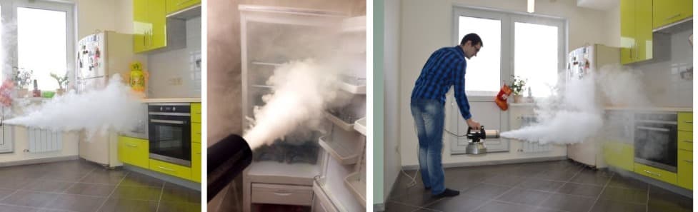 557.jpg